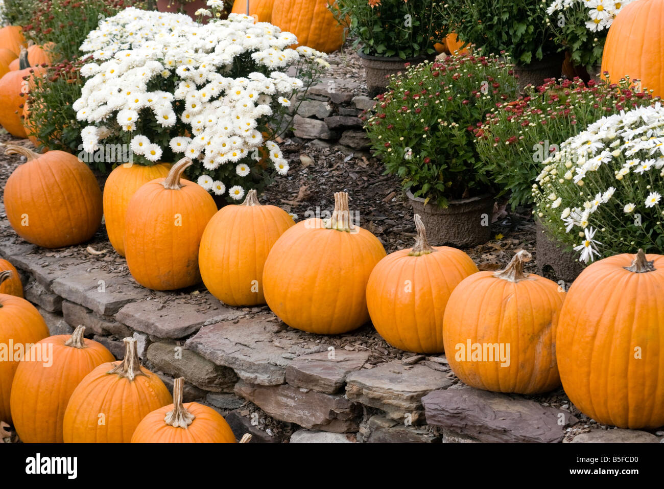 Mums group hi-res stock photography and images - Alamy