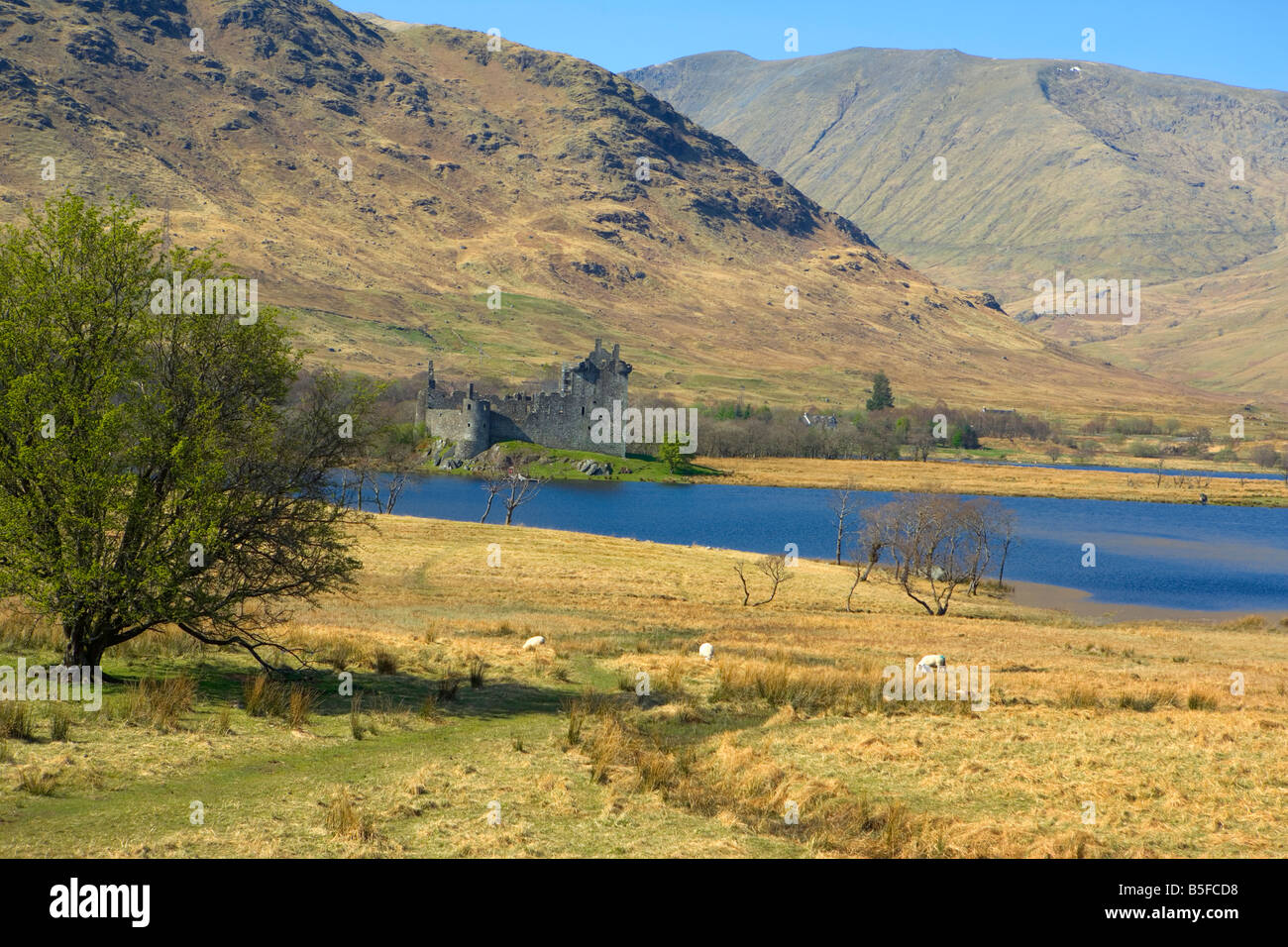 KILCHURN CASTLE ON LOCH AWE SCOTLAND Stock Photo Alamy