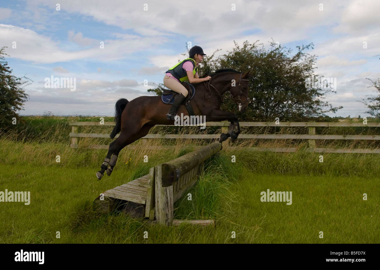 Cross country horse training hi-res stock photography and images - Alamy