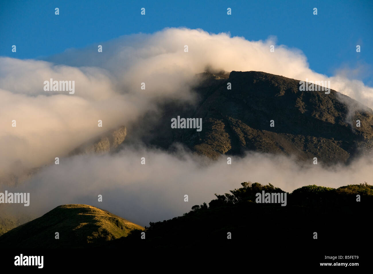 Mount Taranaki from the Holly Hut, Egmont National Park, North Island, New Zealand Stock Photo