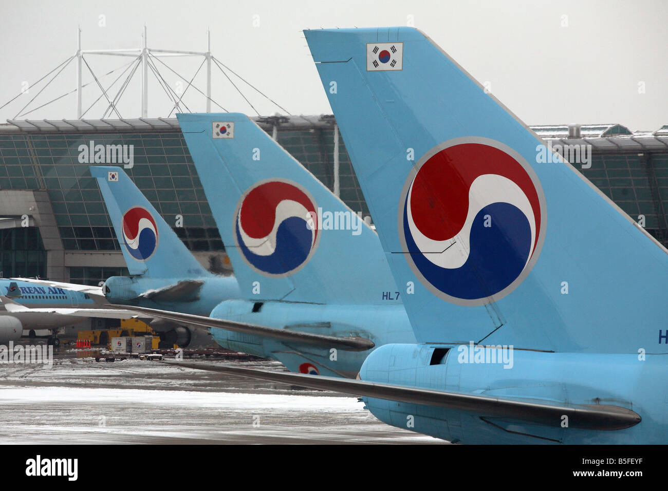 Plane tails with logos of Korean Air Airlines, Seoul, South Korea Stock Photo