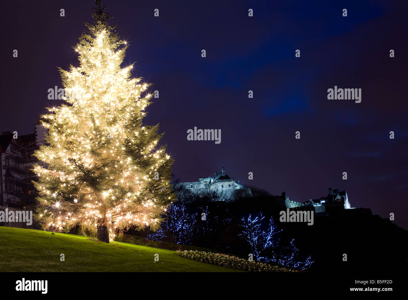 Edinburgh Christmas tree on the Mound donated by Norway Edinburgh