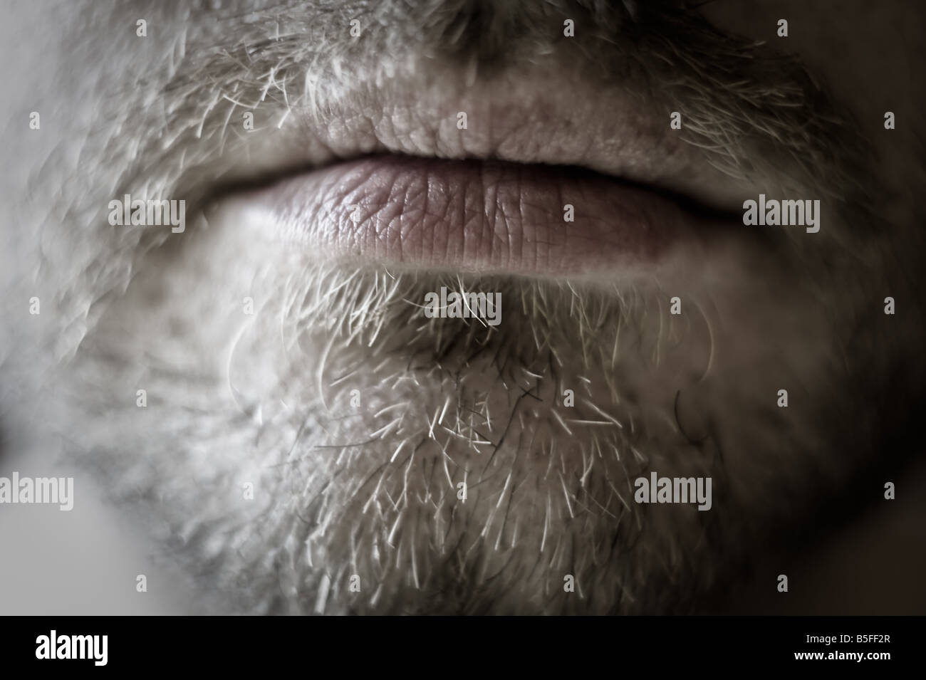 Closeup of down part of bearded man s face Stock Photo