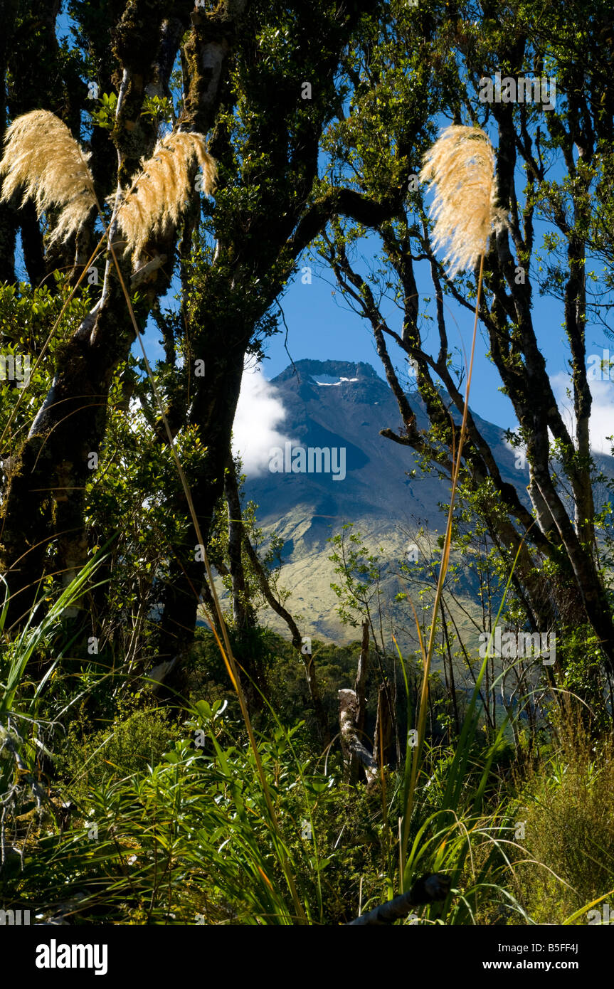 Mount Taranaki from the Stony River, Round the Mountain Circuit, Egmont National Park, North Island, New Zealand Stock Photo