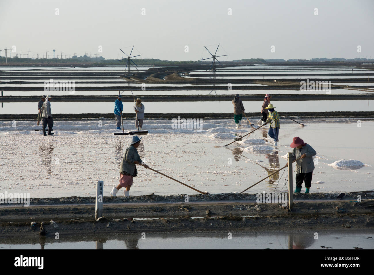 Collecting salt, near the Bangkok area. Stock Photo
