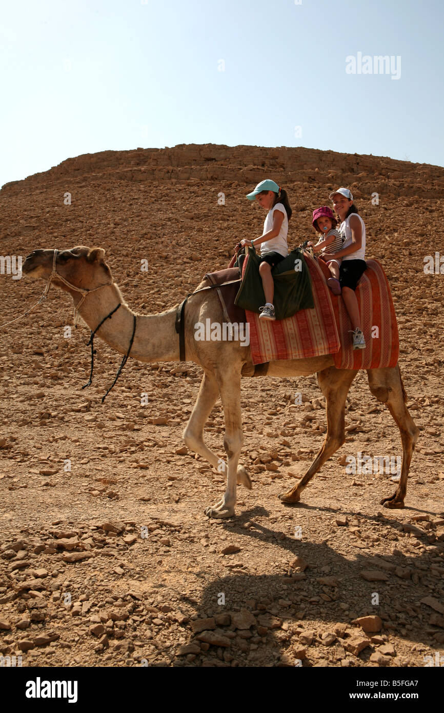 kids riding a camel in the desert Stock Photo