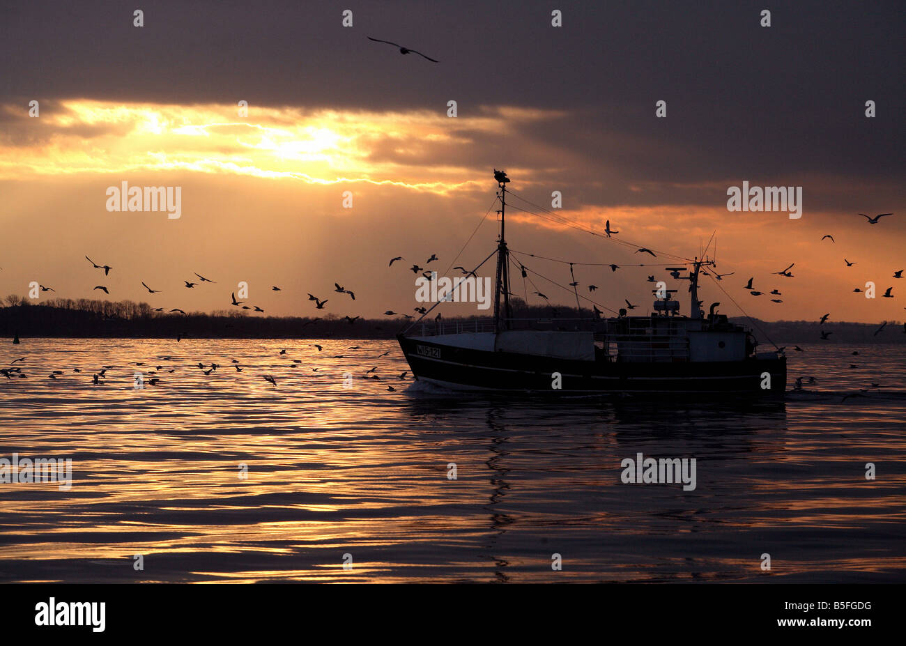 Fishing ship and seagulls at a sunset, Wismar, Germany Stock Photo