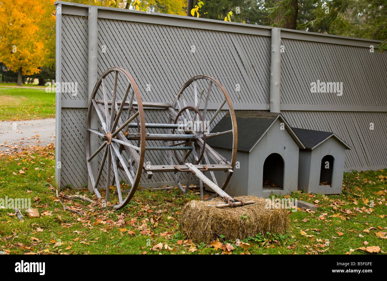Wagon wheel and dog houses on a farm Stock Photo Alamy