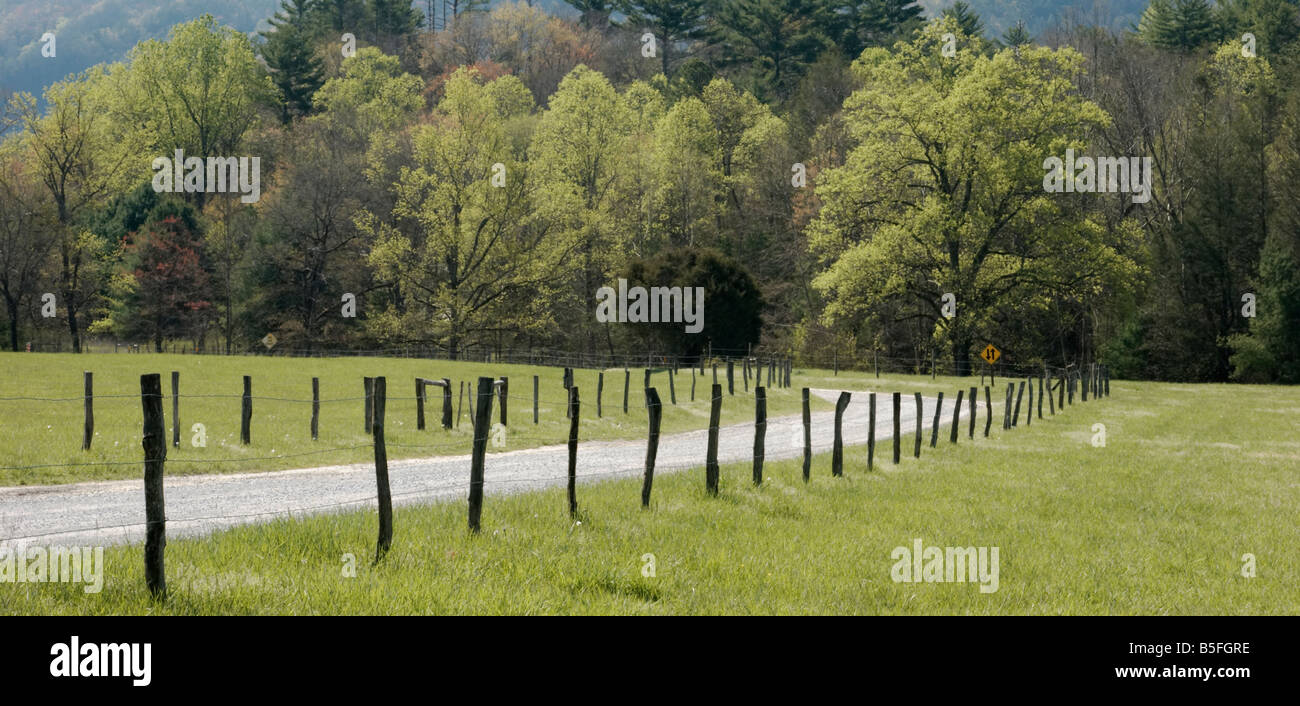 Parsons Branch Road in Cades Cove Great Smoky Mountains National Park