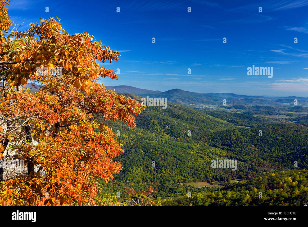 View of the Shenandoah Valley with fall colors against blue sky from Old Rag Mountain, Shenandoah National Park, Virginia. Stock Photo