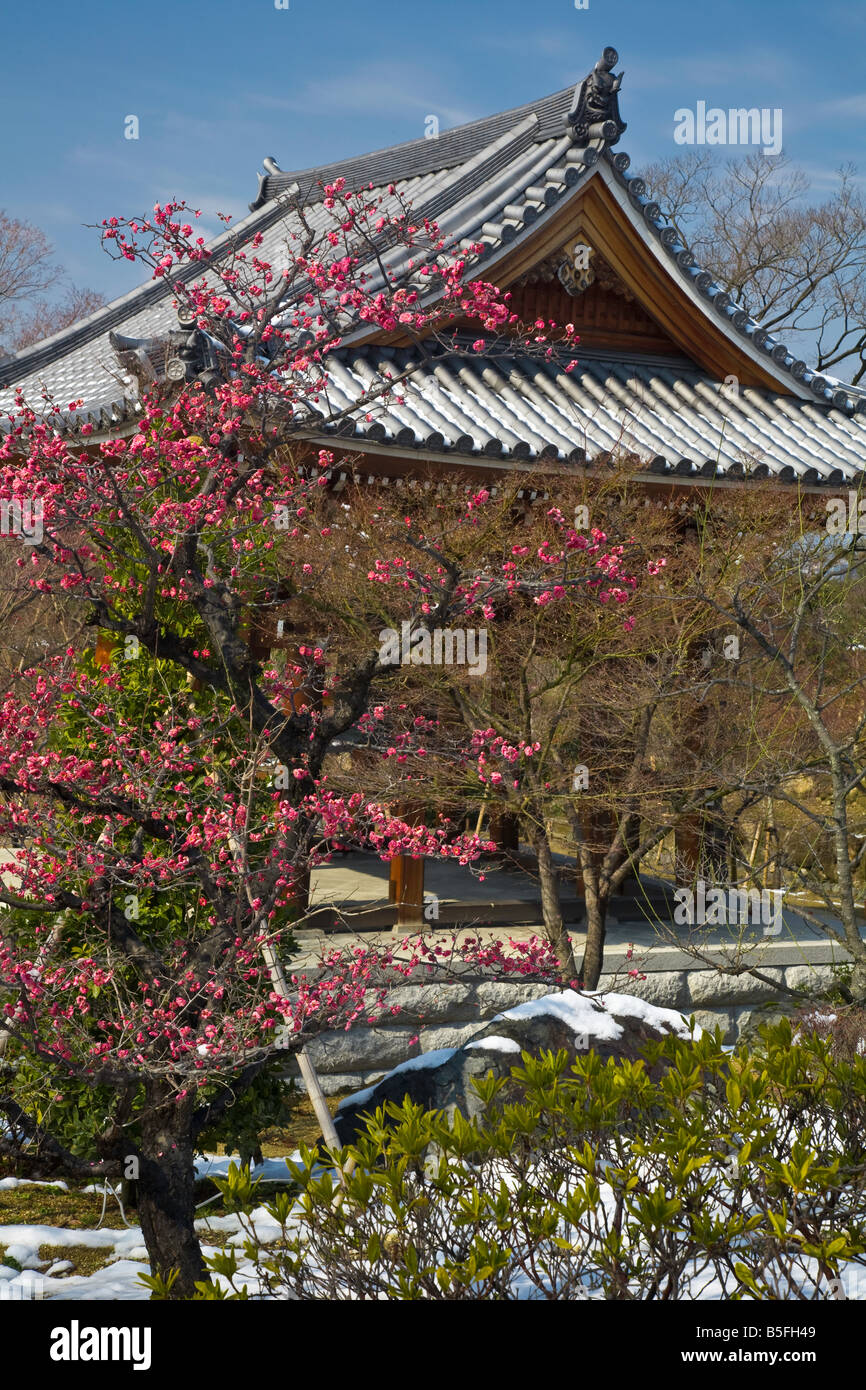 Kyoto City Arashiyama District Japan Chishaku in temple buddhist roof line with flowering plum blossoms Stock Photo