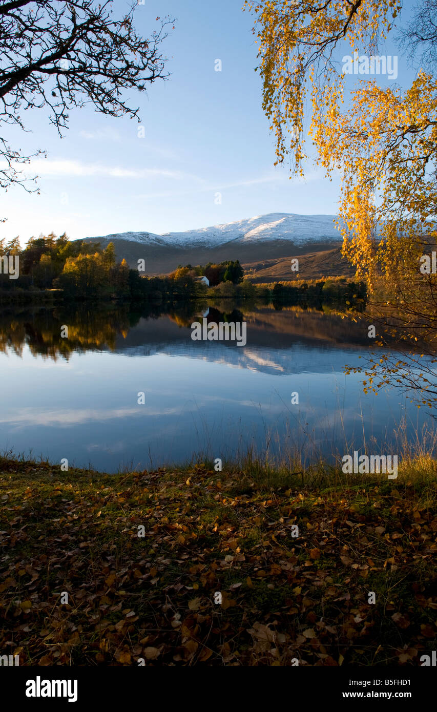 View over Loch Alvie showing Autumn colours and calm reflection of snowy mountains Stock Photo