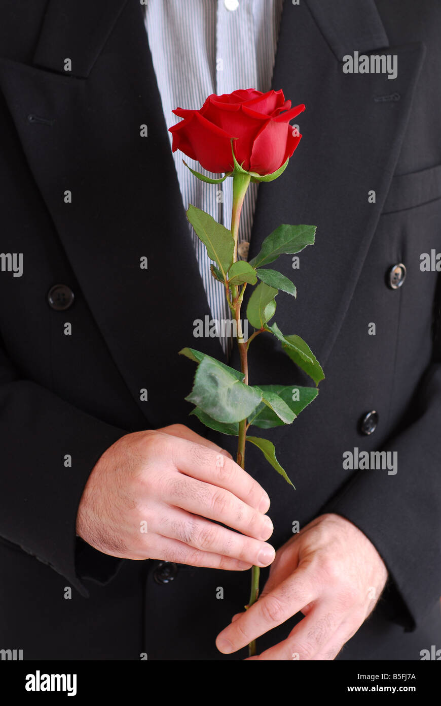 Man in black suit holding a red rose Stock Photo - Alamy