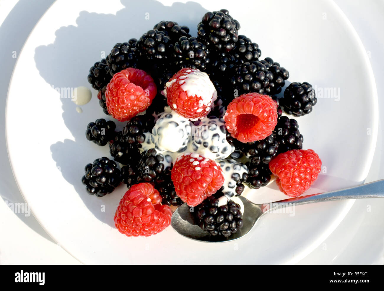 British dish hi-res stock photography and images - Alamy