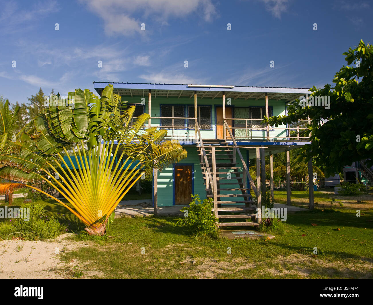 CAYE CAULKER BELIZE Wooden house and fan palm tree Stock Photo Alamy