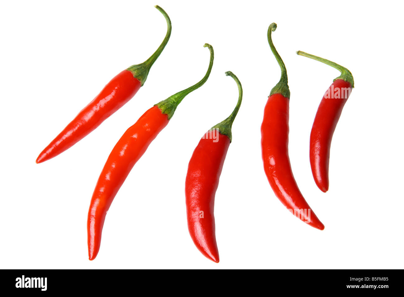 Red chili peppers cutout on white background Stock Photo