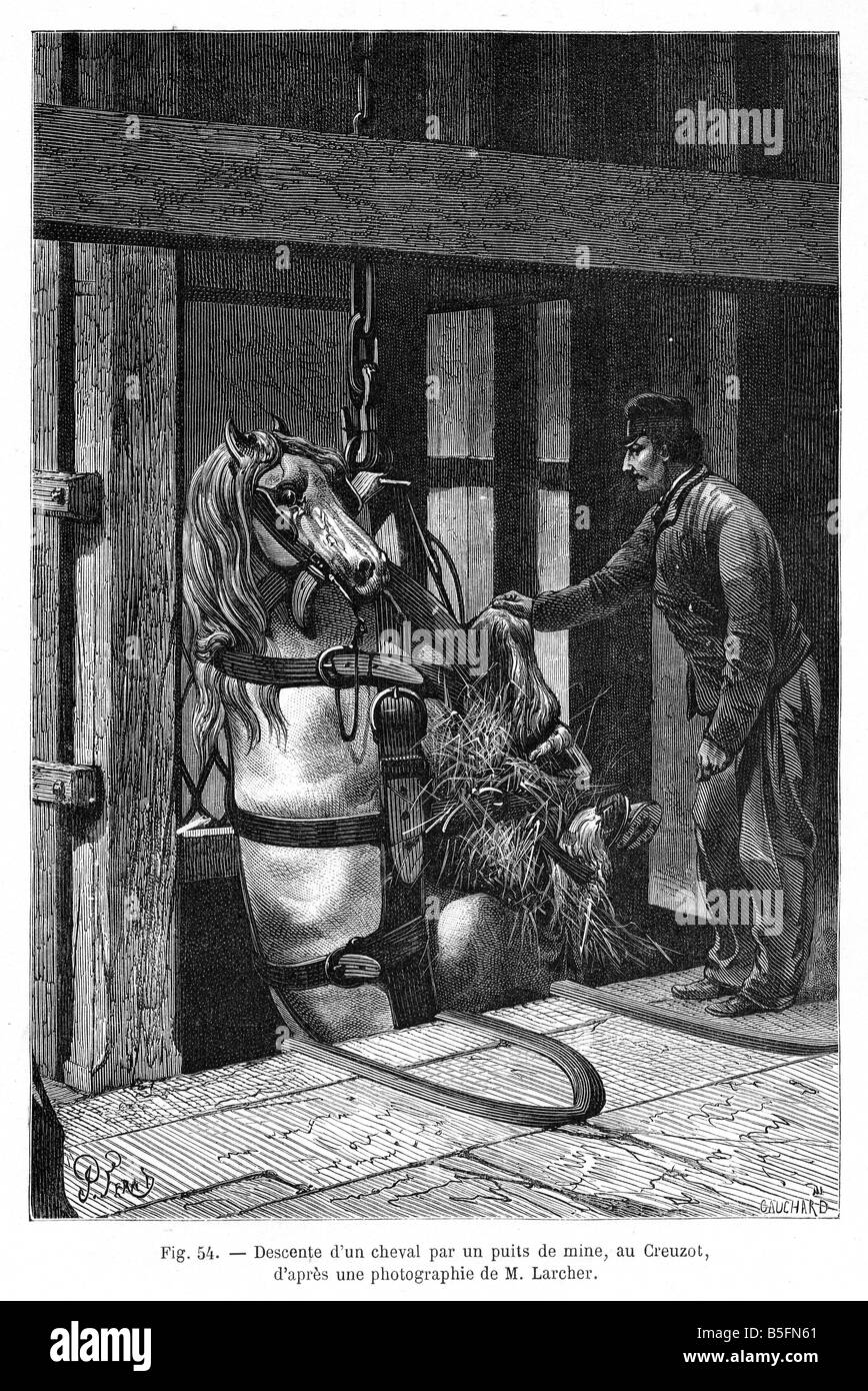 Pit Pony Descends 1866 engraving of a horse trussed to be sent down the French coal mine at Creuzot Stock Photo