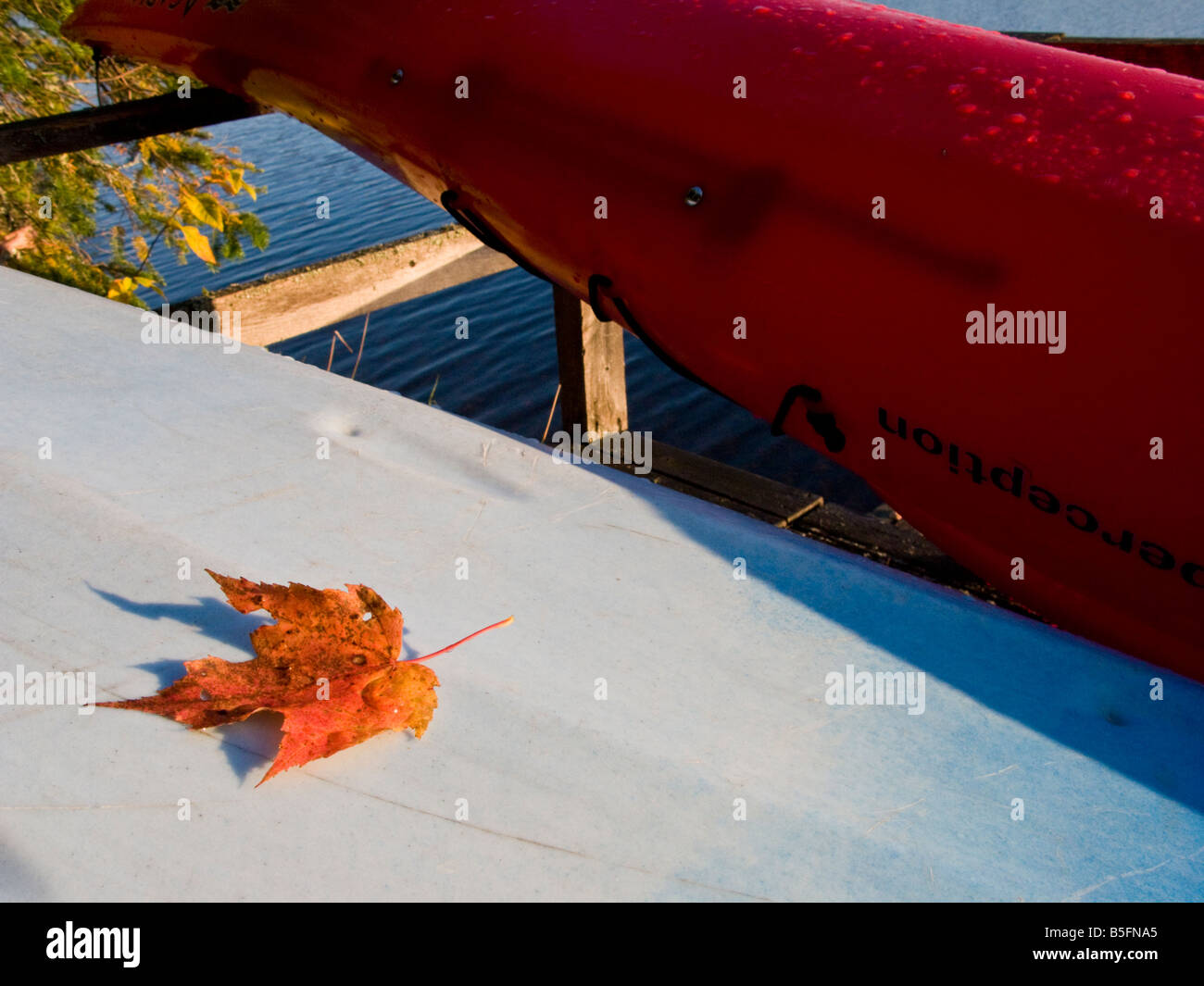 A red fall maple leaf on a kayak in Canada Stock Photo