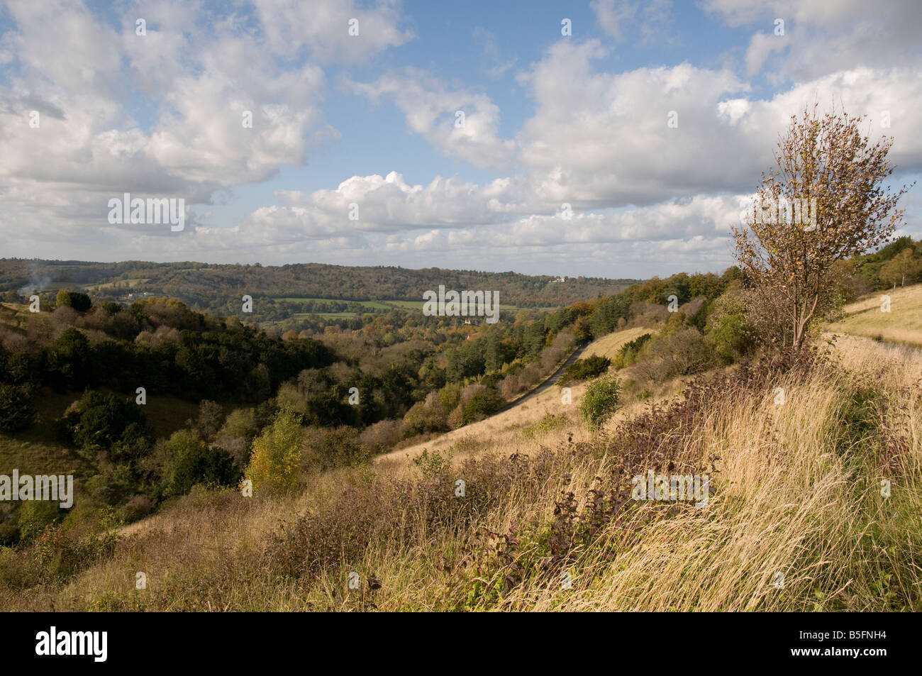 Boxhill in Surrey, England. Stock Photo