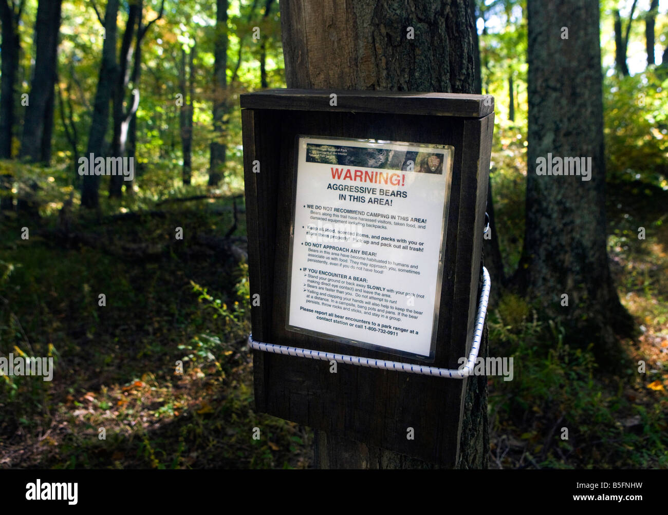 NPS warning sign alerting hikers of aggressive bears along the trail up Old Rag Mountain, Shenandoah National Park, Virginia. Stock Photo