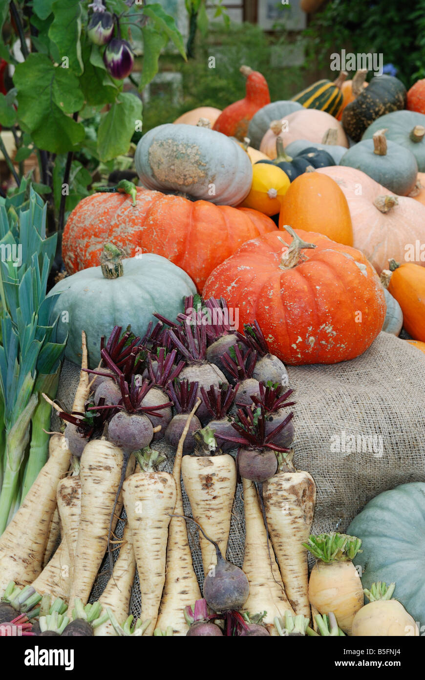 a harvest display at heligan gardens,cornwall,uk Stock Photo