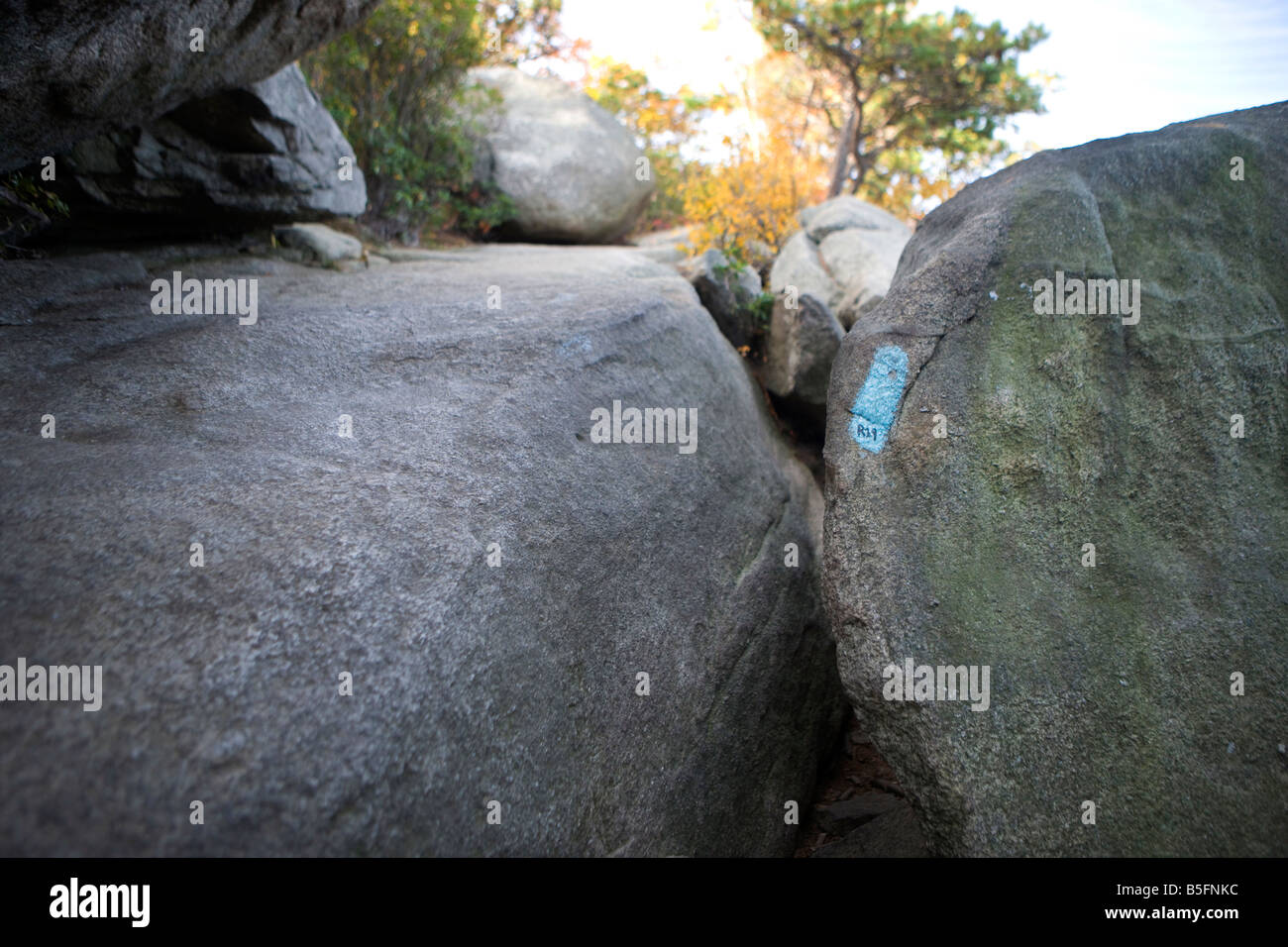 Boulders line the trail up Old Rag Mountain, Shenandoah National Park, Virginia. Stock Photo