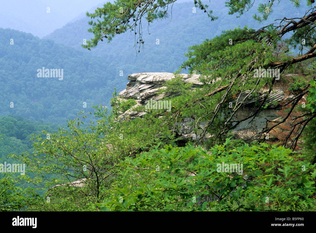 Breaks Interstate Park, VA-KY; Summer view over canyon formed by ...