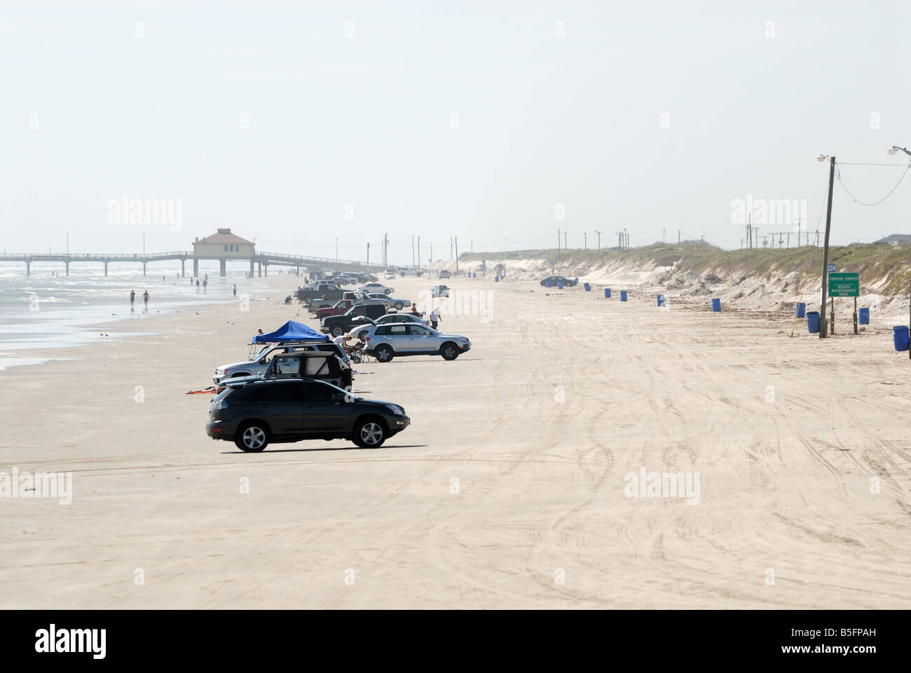 Cars on the beach of Padre Island, southern Texas USA Stock Photo Alamy