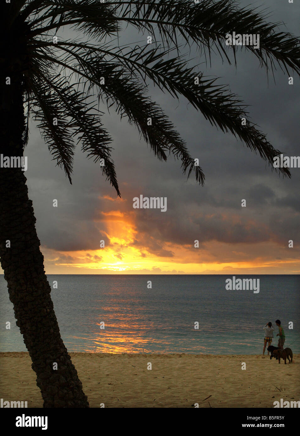 Sunset beach Stock Photo