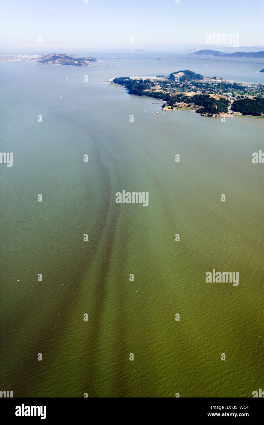 aerial view above red tide phytoplancton bloom San Francisco Bay Stock