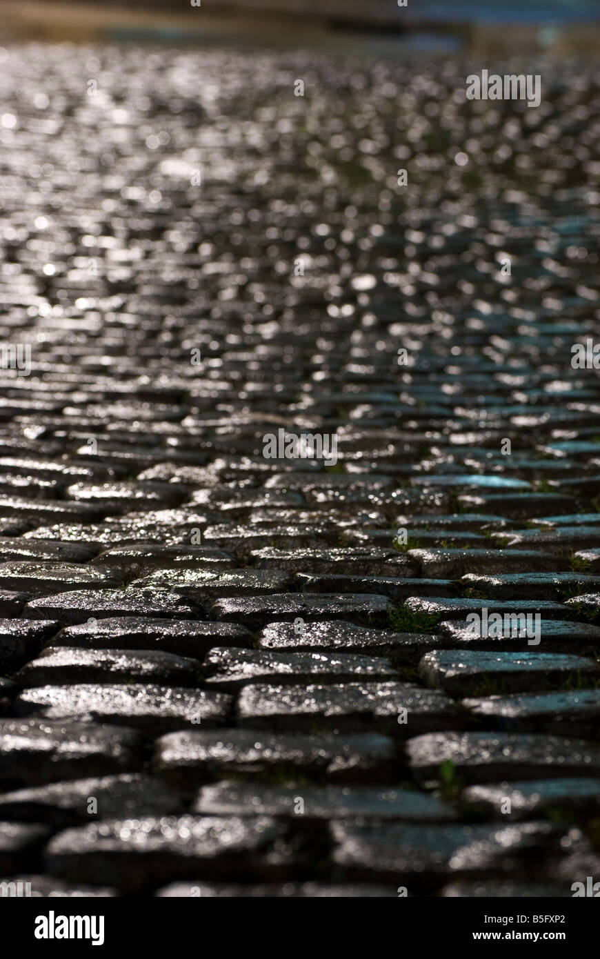 A lonely and deserted wet city street reflecting light from rain soaked ...
