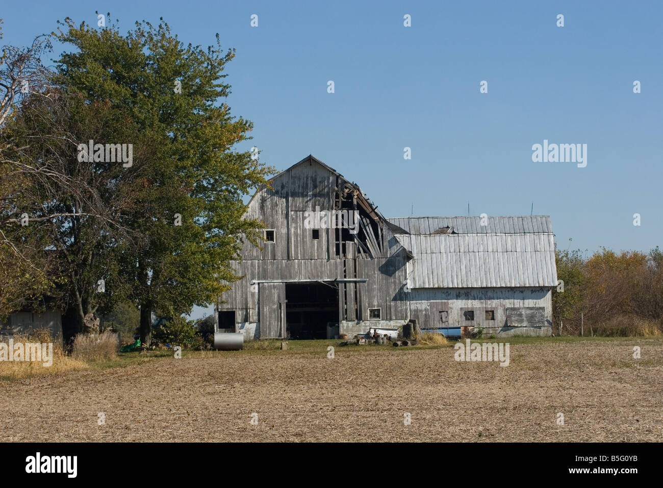 Old wooden barn disintegrating and falling down Stock Photo