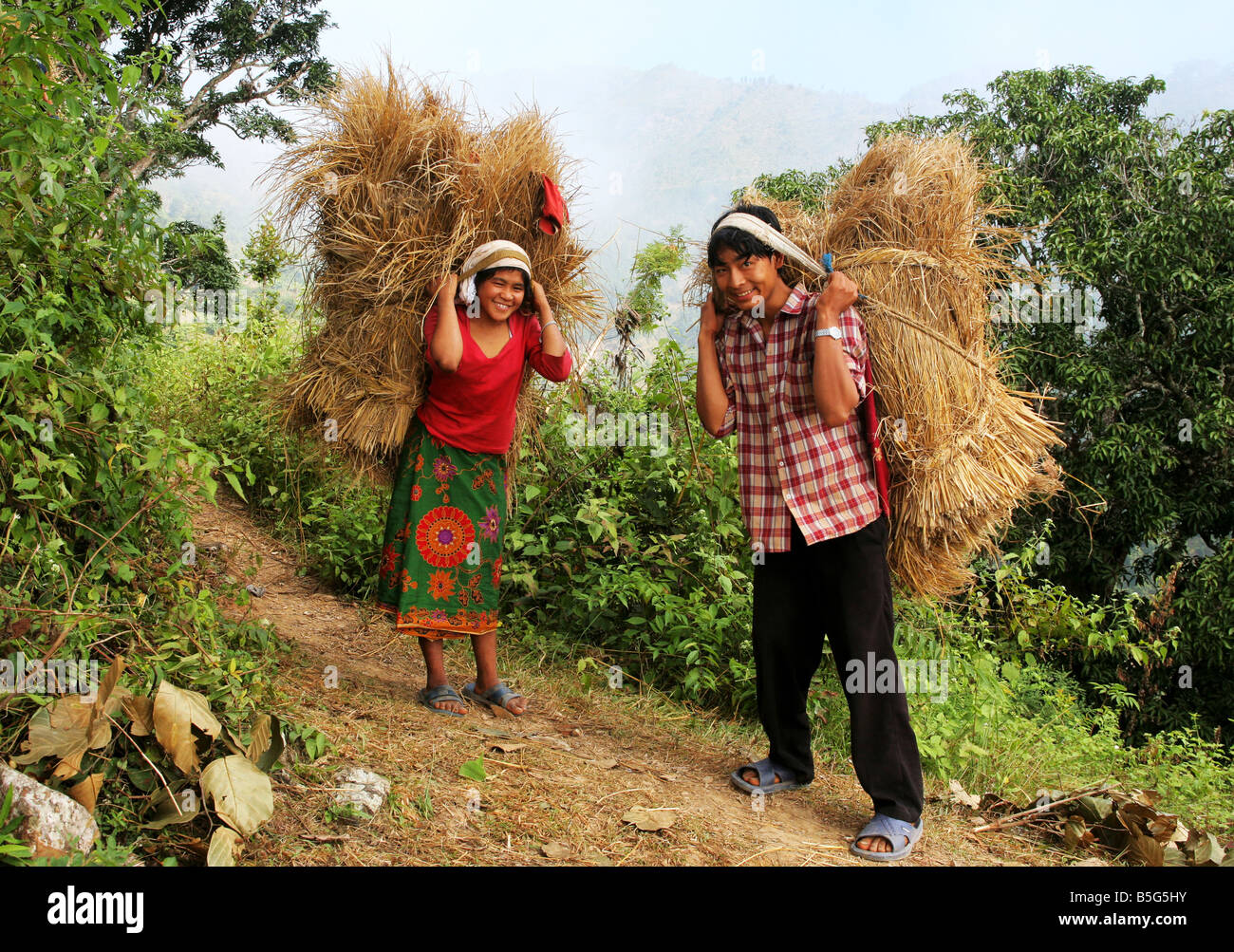 Nepal: villagers carry rice straw Stock Photo