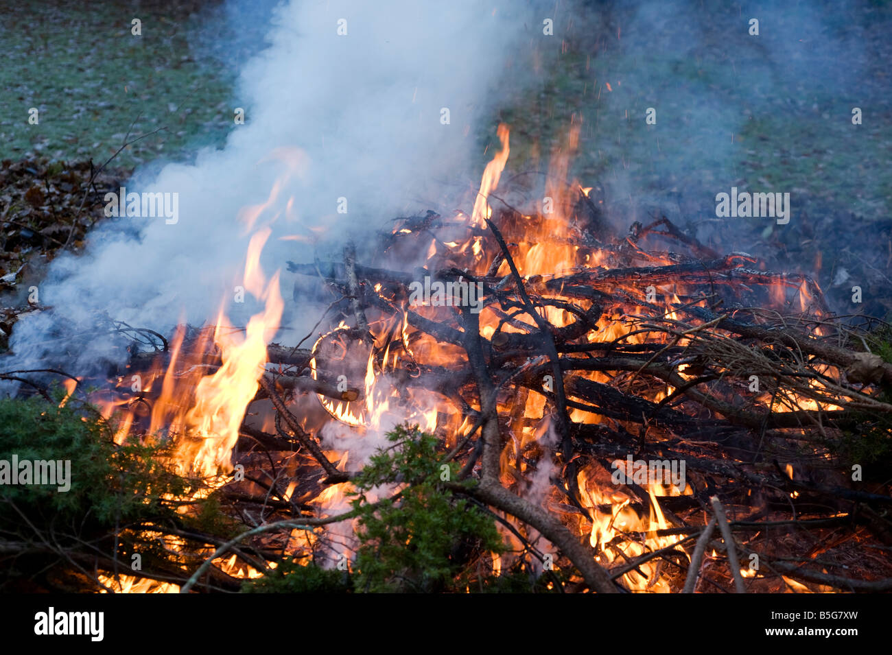 Fire in a garden Stock Photo