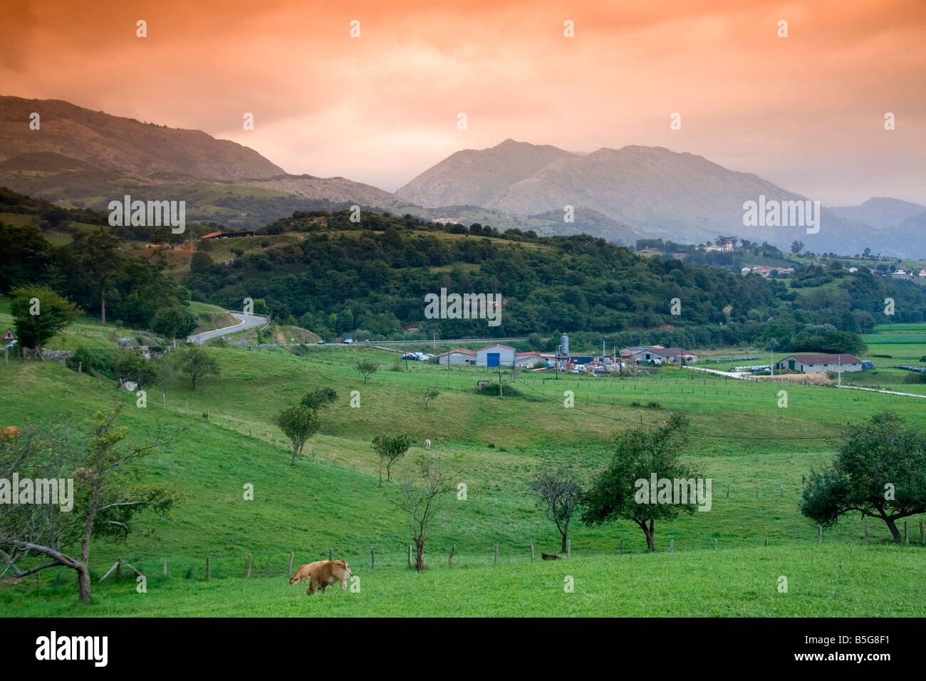 Rural farmland near the parish of Panes Penamellera Baja Asturias northwestern Spain Stock Photo