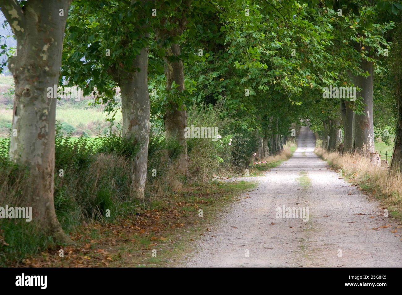 Rural dirt country road near the town of Solares Cantabria Spain Stock Photo