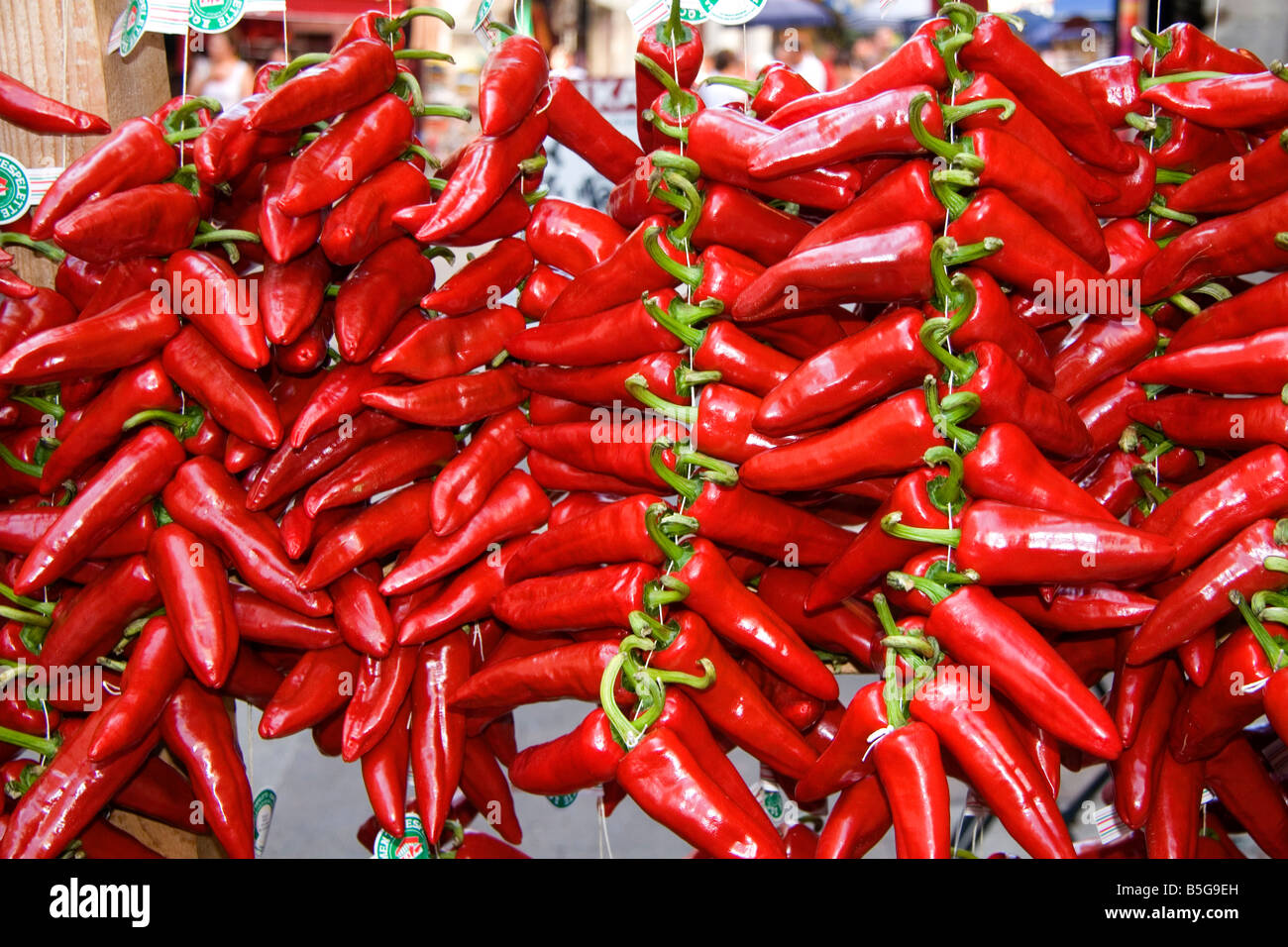 Fresh piquillo peppers for sale in the town of Saint Jean de Luz Pyrenees Atlantiques French Basque Country Southwest France Stock Photo