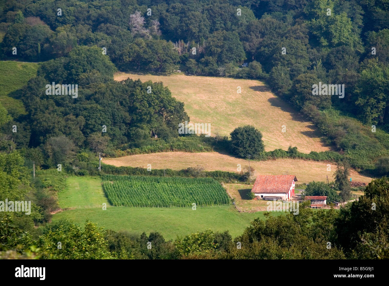 Rural farmland in the Pyrenees Atlantiques department of French Basque Country Southwest France Stock Photo