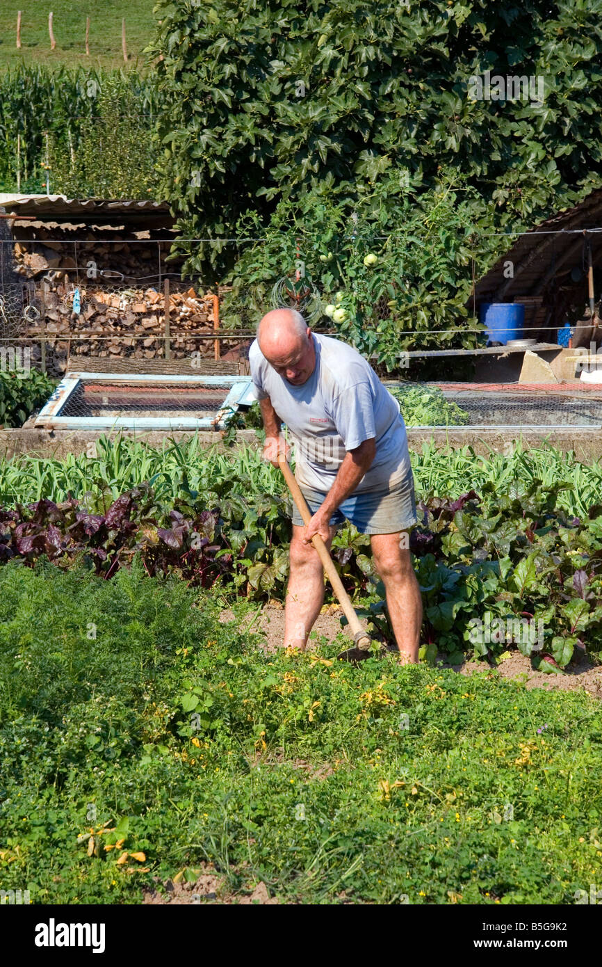 Basque man gardening in the village of Sare Pyrenees Atlantiques French Basque Country Southwest France Stock Photo