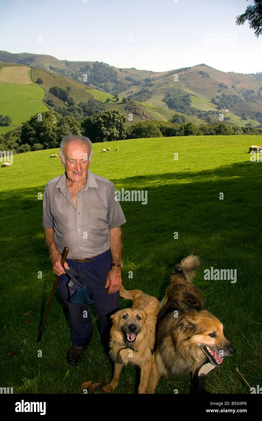 Basque shepherd with dogs and sheep grazing in the Baztan Valley of the Navarre region of northern Spain Stock Photo