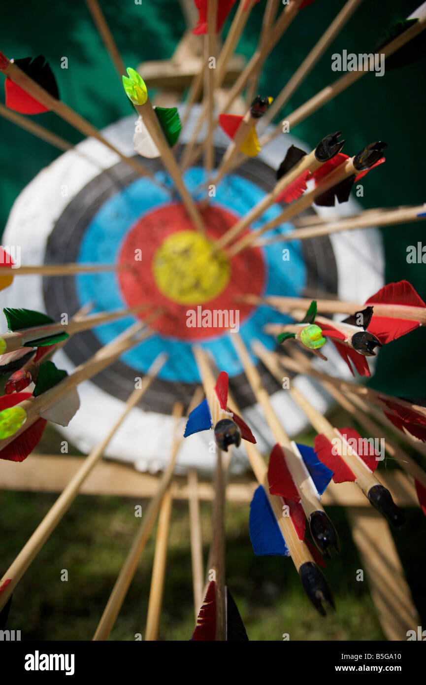 Extreme wide angle closeup of about ten arrows sticking in an archery