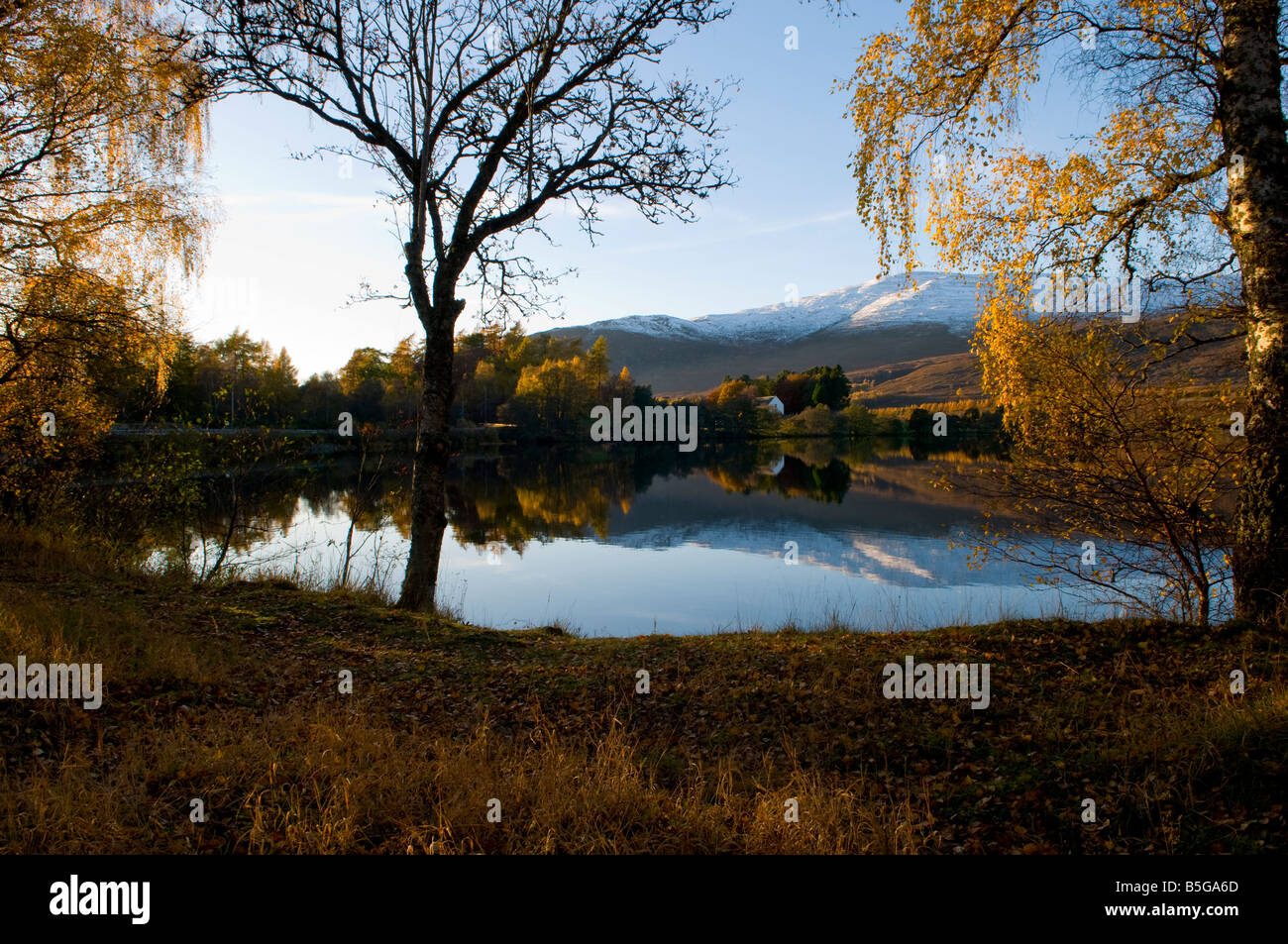 Landscape view over Loch Alvie showing Autumn colours and calm reflection of snowy mountains Stock Photo