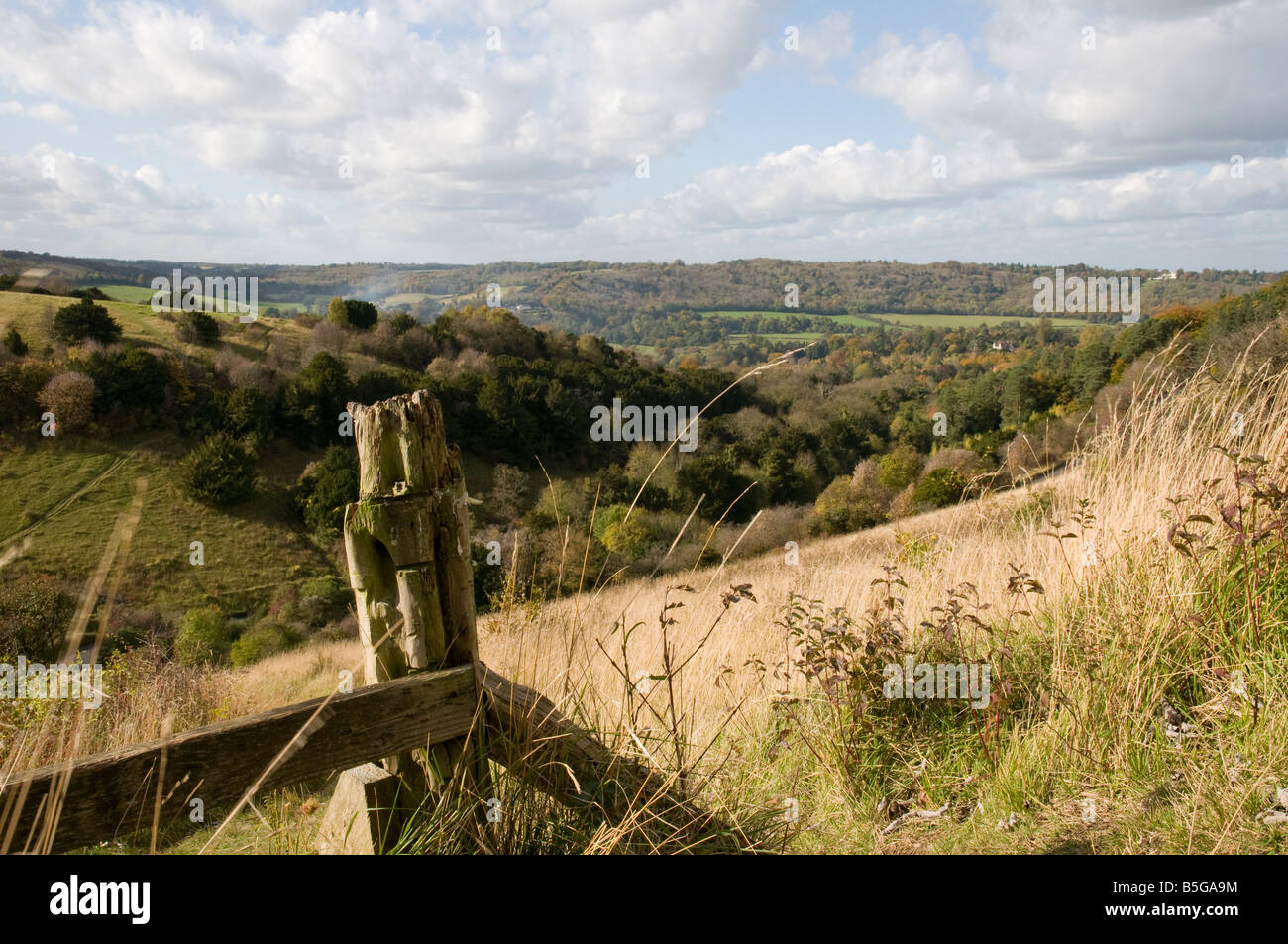 A view of the landscape from the top of Boxhill in Surrey, England. Stock Photo