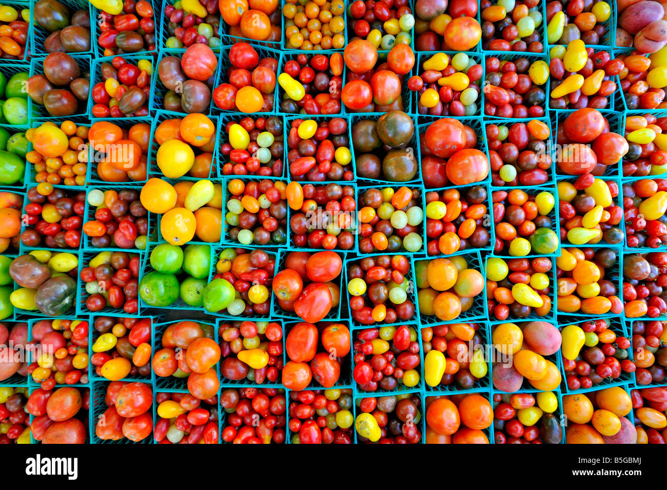 Tomatoes for sale at a New York City green market Stock Photo - Alamy