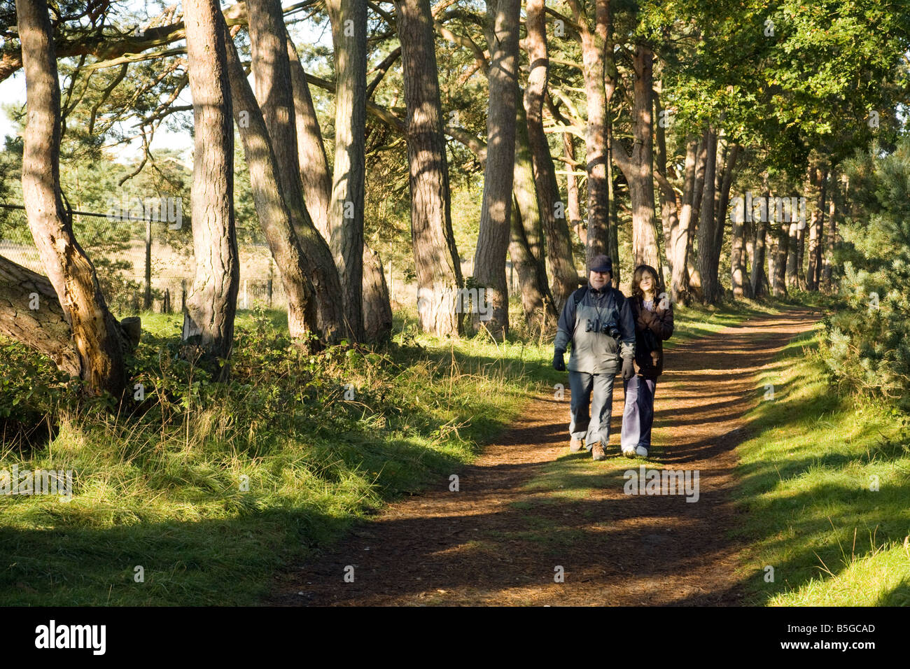 An old man and his granddaughter walk in the woods, Thetford Forest, Norfolk, UK Stock Photo