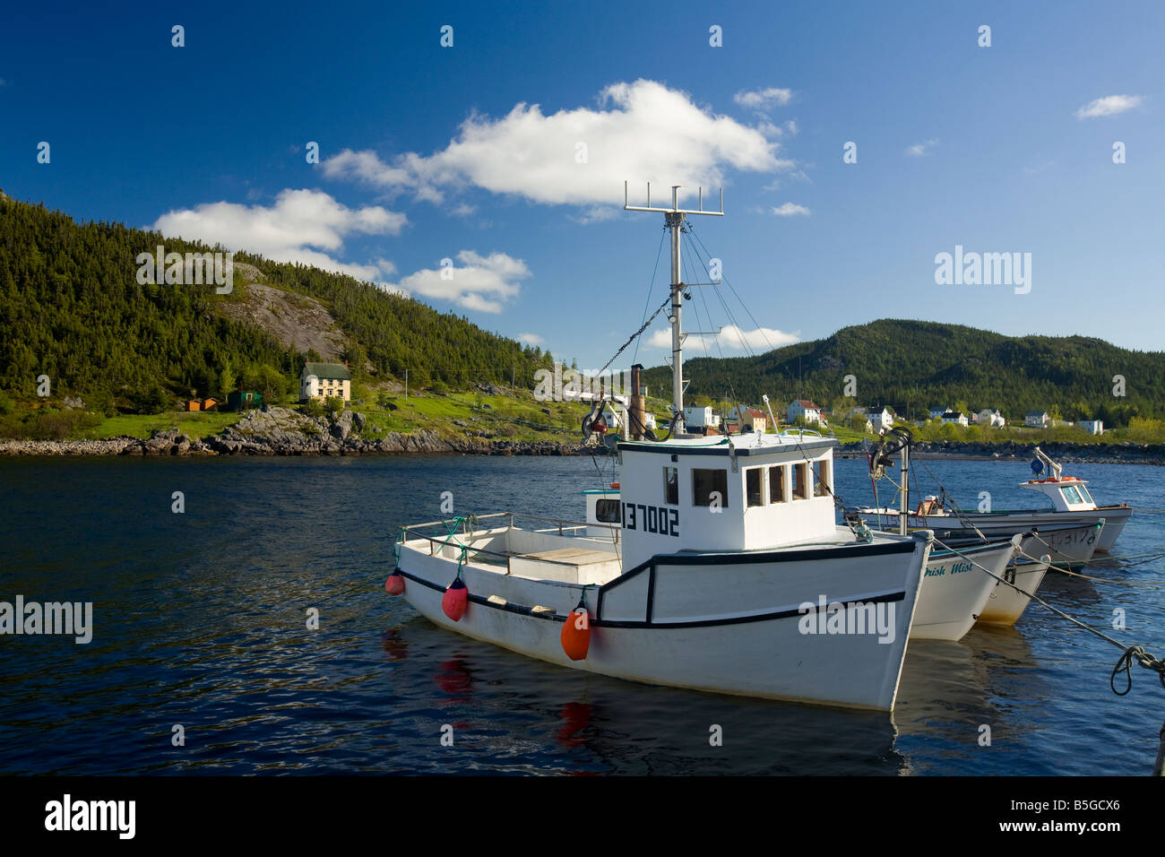 fishing boats King s Cove Newfoundland&Labrador Canada Stock Photo Alamy
