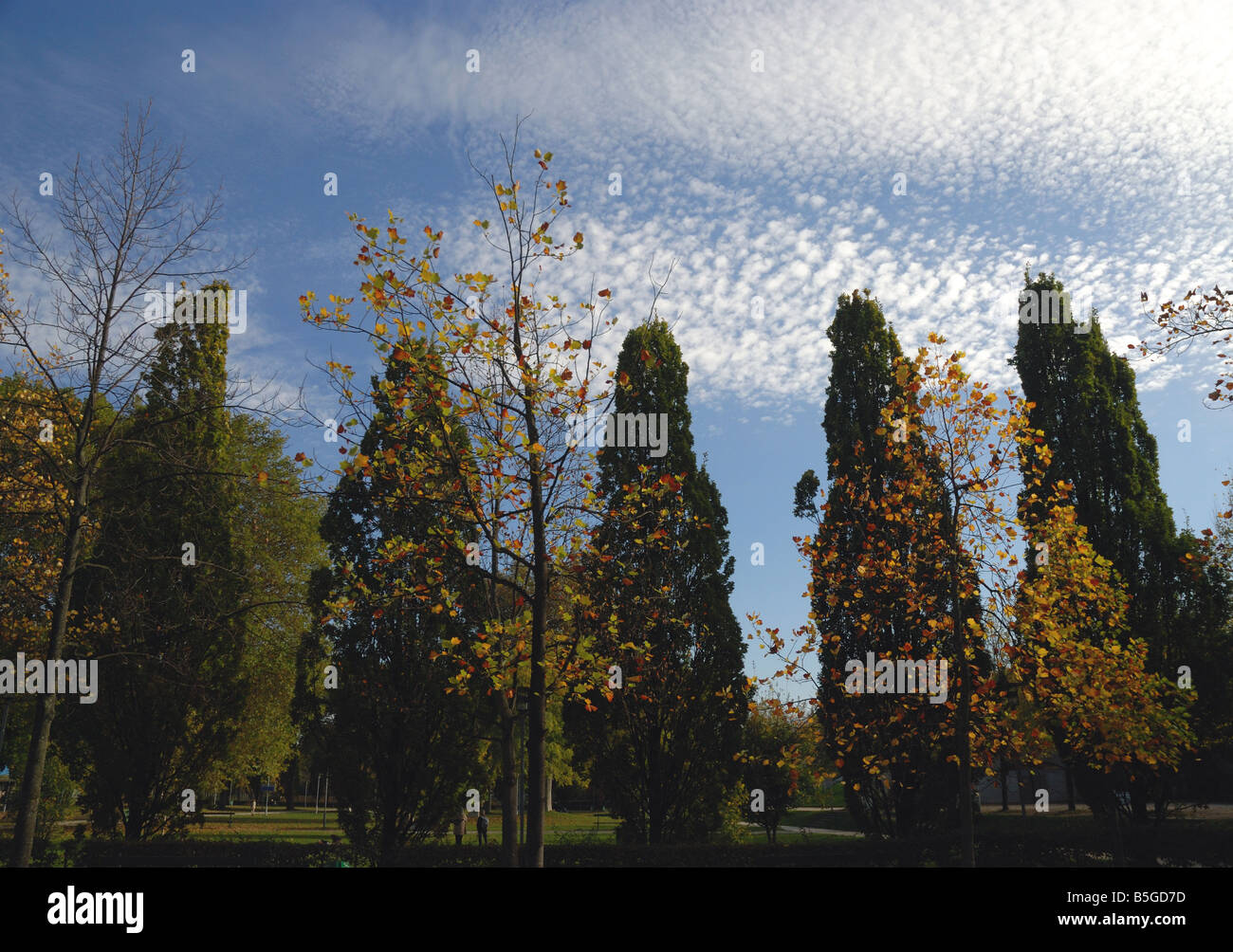 Paris, arbres du jardin de Bercy à l'automne Stock Photo