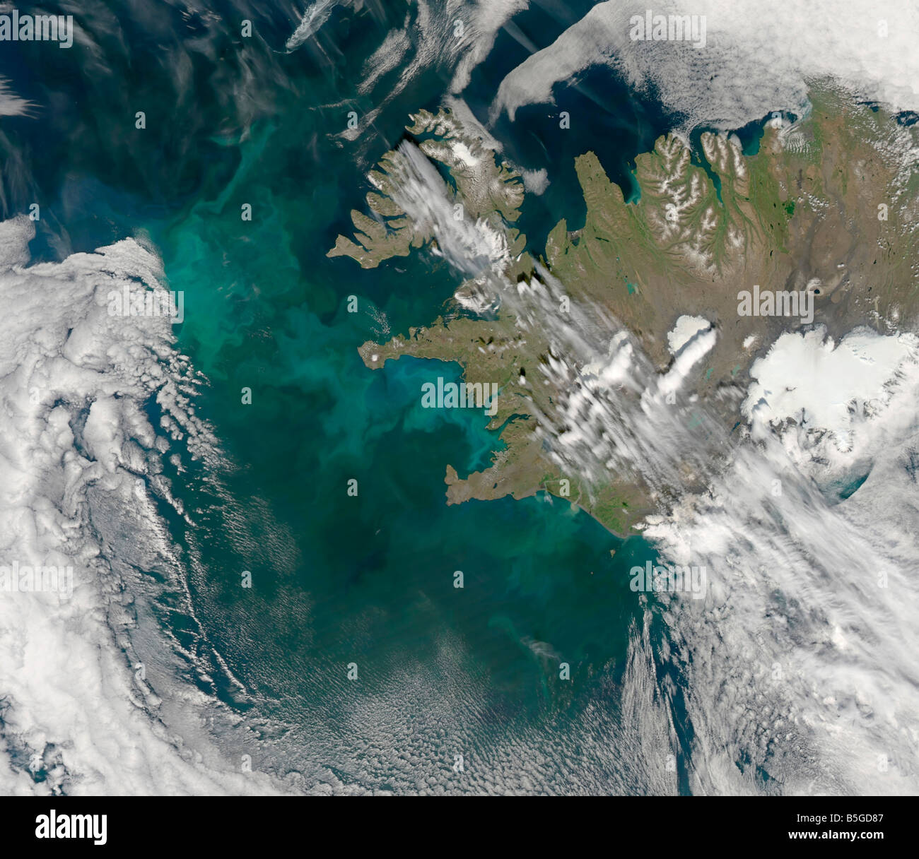 Phytoplankton bloom in the North Atlantic Ocean. Stock Photo
