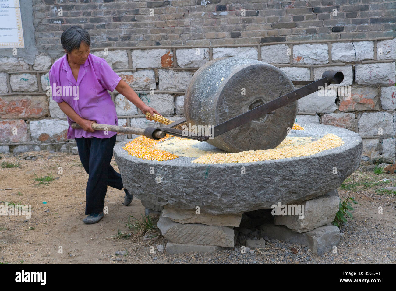 Woman grinding corn with millstone Shandong China Stock Photo Alamy