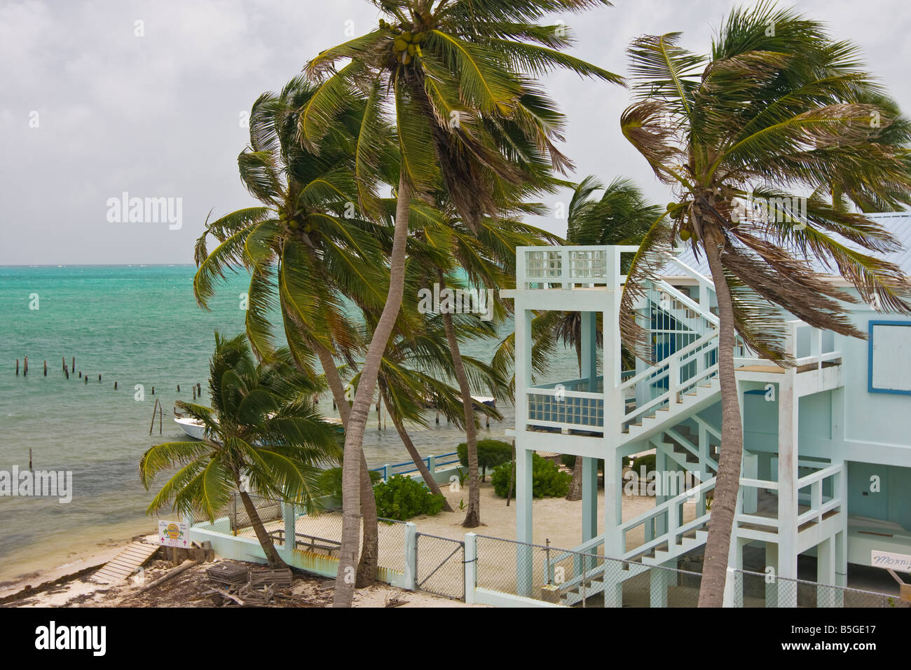 CAYE CAULKER BELIZE Palm tress and hotel on Caribbean beach Stock Photo